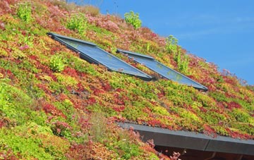 Hade Edge living roof systems